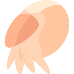 Nautilus icon