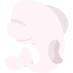 beluga icon