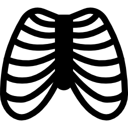 胸郭 icon