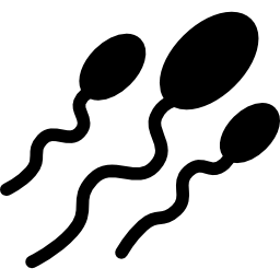 tre spermatozoi icona