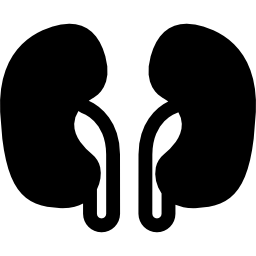 Two Kidneys icon