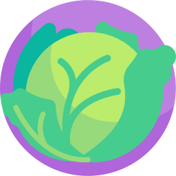 Cabbage icon