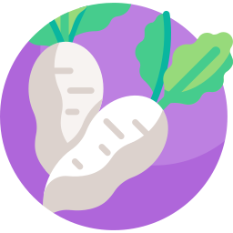 Radish icon