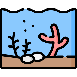 Coral icon