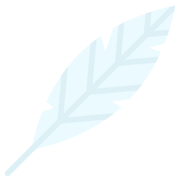 Feather icon