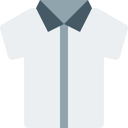 Shirt icon