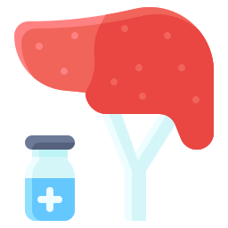 Liver icon