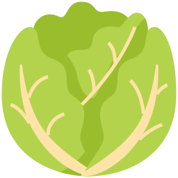 Cabbage icon