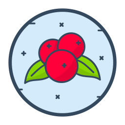 Red berries icon