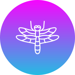 Dragonfly icon