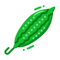 Bitter gourd icon