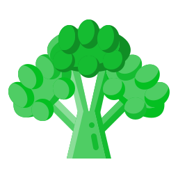 Broccoli icon