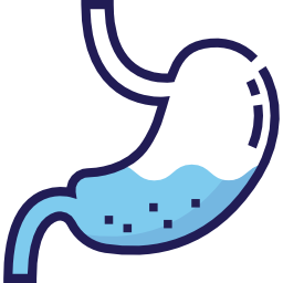 Stomach icon