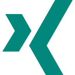 Xing icon