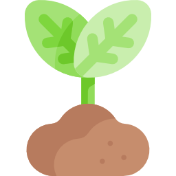 Sprout icon