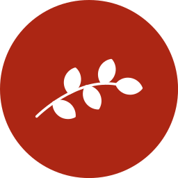 Branch icon