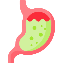 Gastric reflux icon