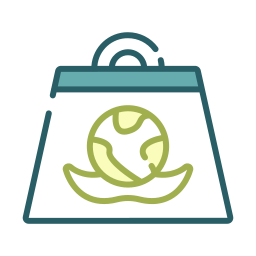 Eco bag icon