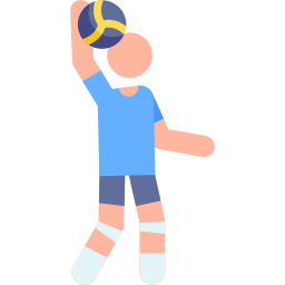 Volleyball icon