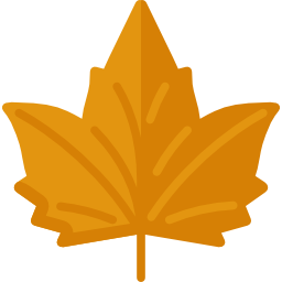 Maple leaf icon