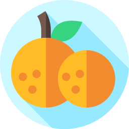 orangen icon