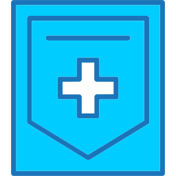 Shield icon