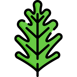 filodendron xanadu ikona