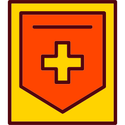 Shield icon