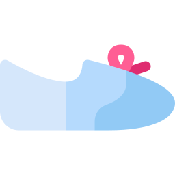 FLAT SHOES icon