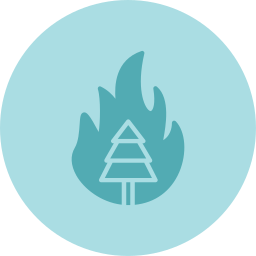 Burning tree icon