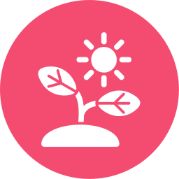 Photosynthesis icon