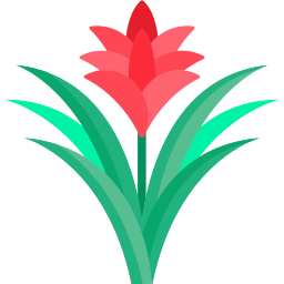 Bromeliad icon