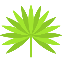 Fan palm icon