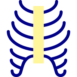 Ribs icon