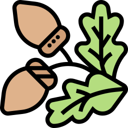 Acorn icon