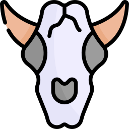 황소 두개골 icon