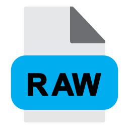archivo raw icono