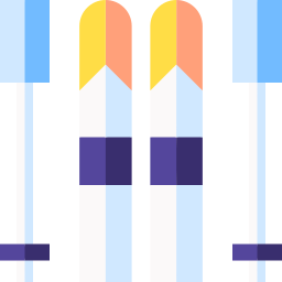 Skis icon