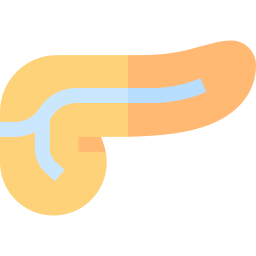 páncreas icono