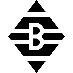 Borusia monchengladbach icon