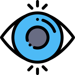 vision icon