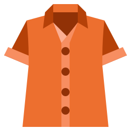 la chemise Icône