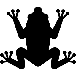 tropikalna żaba ikona