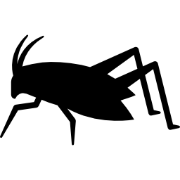 Grasshopper sitting icon