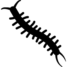 aardworm icoon
