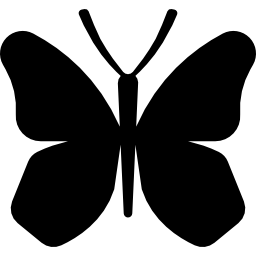 Butterfly wings icon