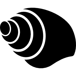 Seashell Conch icon