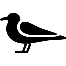 Seagull Still icon