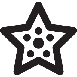 Summer Starfish  icon