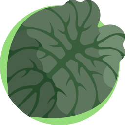 Alocasia melo icon